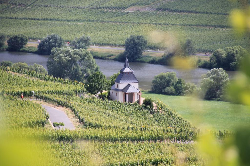 ホテルWein & Gastehaus Hermeshof トリッテンハイム エクステリア 写真