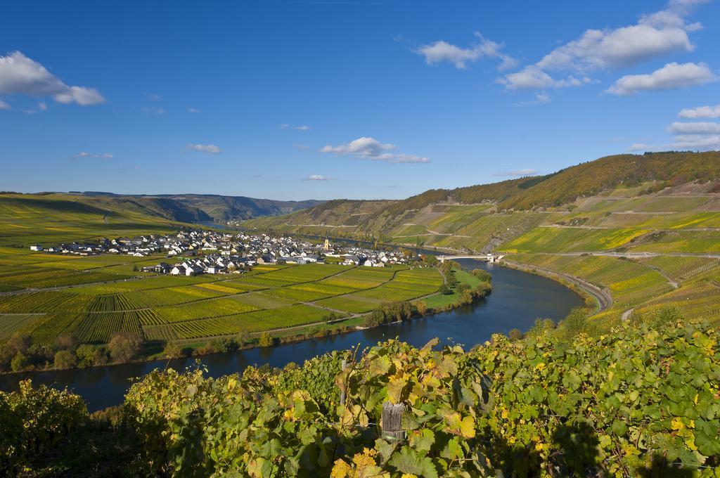 ホテルWein & Gastehaus Hermeshof トリッテンハイム エクステリア 写真