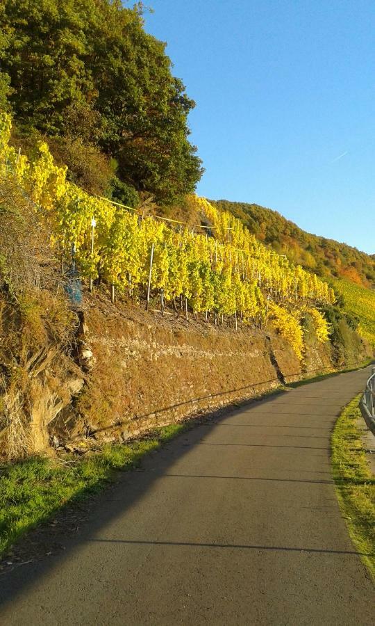 ホテルWein & Gastehaus Hermeshof トリッテンハイム エクステリア 写真